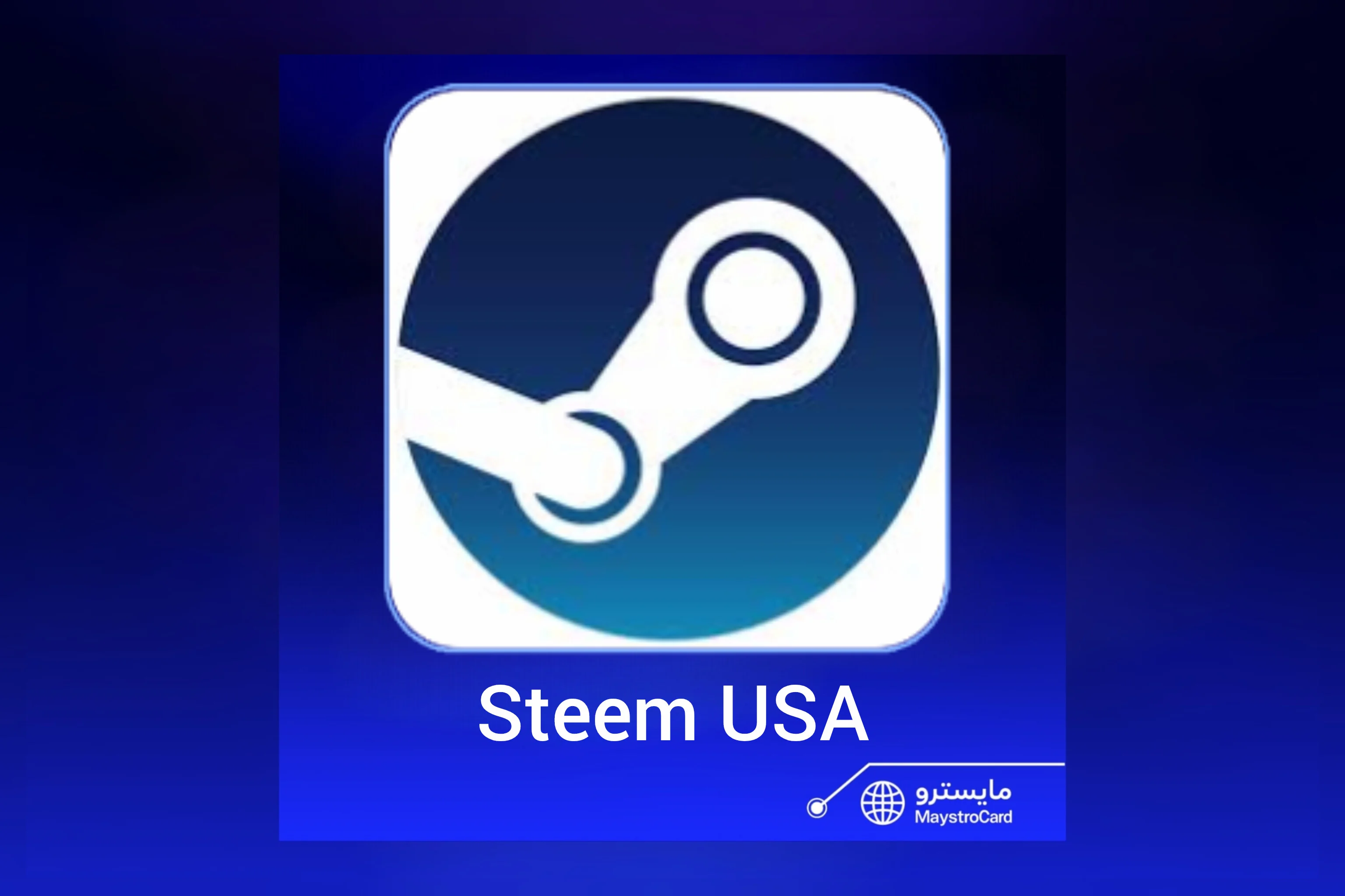 Steam USD